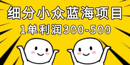 细分小众蓝海项目，一单利润3张，每月收入稳定过1w+ - 猎人社区-猎人社区
