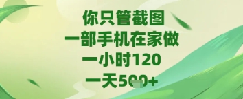 你只管截图，一部手机在家做，苹果安卓都可以，一天5张+【揭秘】-猎人社区