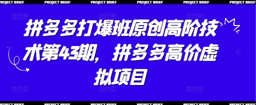 拼多多打爆班原创高阶技术第43期，拼多多高价虚拟项目 - 猎人社区-猎人社区