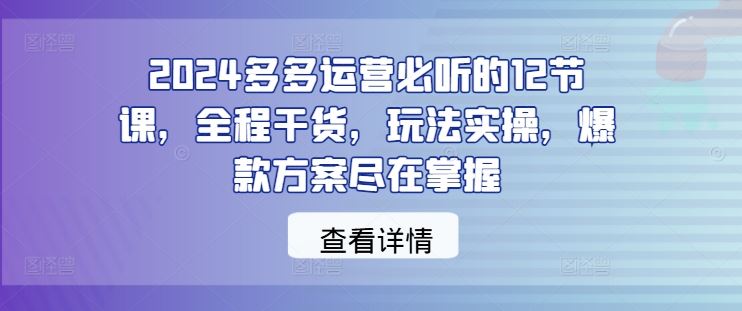 2024多多运营必听的12节课，全程干货，玩法实操，爆款方案尽在掌握 - 猎人社区-猎人社区