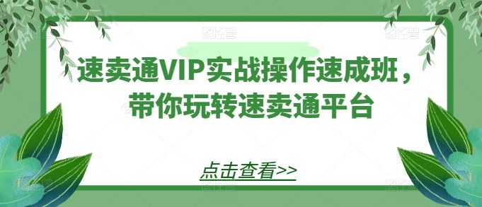 速卖通VIP实战操作速成班，带你玩转速卖通平台 - 猎人社区-猎人社区