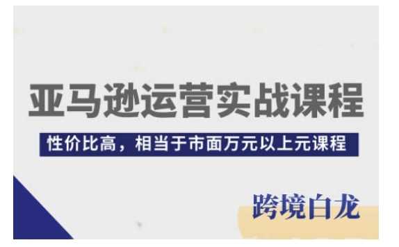 亚马逊运营实战课程，亚马逊从入门到精通，性价比高，相当于市面万元以上元课程 - 猎人社区-猎人社区