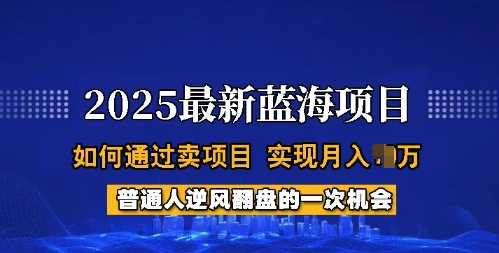 2025蓝海项目，普通人如何通过卖项目，实现月入过W，全过程【揭秘】-猎人社区
