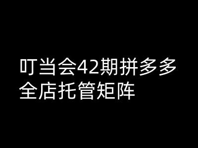 叮当会拼多多打爆班原创高阶技术第42期，拼多多全店托管矩阵-猎人社区