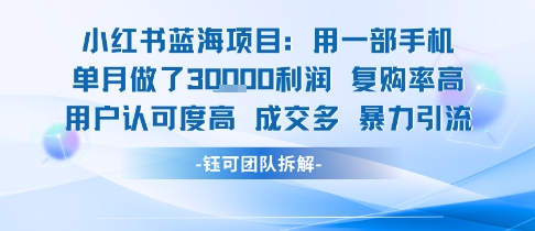 小红书蓝海项目，一部手机单月做了3W利润，小白也能月入过1W用户认可度高成交多-猎人社区
