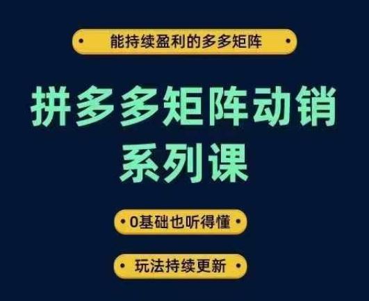 拼多多矩阵动销系列课，能持续盈利的多多矩阵，0基础也听得懂，玩法持续更新 - 猎人社区-猎人社区