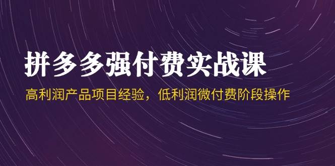 拼多多强付费实战课-44期，高利润产品项目经验，低利润微付费阶段操作 - 猎人社区-猎人社区
