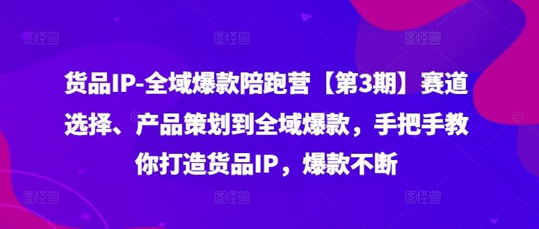 货品IP全域爆款陪跑营【第3期】赛道选择、产品策划到全域爆款，手把手教你打造货品IP，爆款不断 - 猎人社区-猎人社区