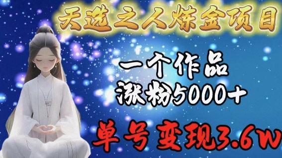 天选之人炼金项目，一个作品涨粉5000+，单号变现3.6w【揭秘】 - 猎人社区-猎人社区