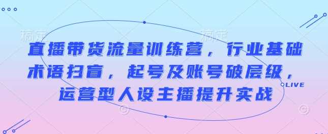 直播带货流量训练营，行业基础术语扫盲，起号及账号破层级，运营型人设主播提升实战 - 猎人社区-猎人社区