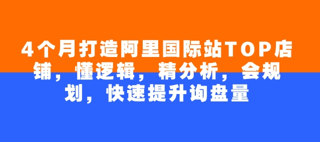 4个月打造阿里国际站TOP店铺，懂逻辑，精分析，会规划，快速提升询盘量 - 猎人社区-猎人社区