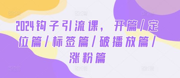 2024钩子引流课，开篇/定位篇/标签篇/破播放篇/涨粉篇 - 猎人社区-猎人社区