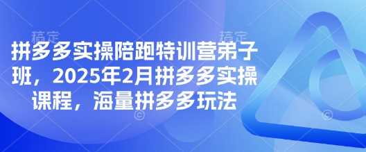 拼多多实操陪跑特训营弟子班，2025年2月拼多多实操课程，海量拼多多玩法-猎人社区