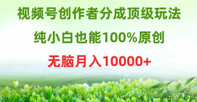 视频号创作者分成顶级玩法，纯小白也能100%原创，无脑月入10000+-猎人社区