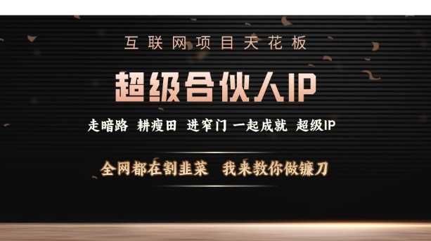 互联网项目天花板，超级合伙人IP，全网都在割韭菜，我来教你做镰刀【仅揭秘】 - 猎人社区-猎人社区