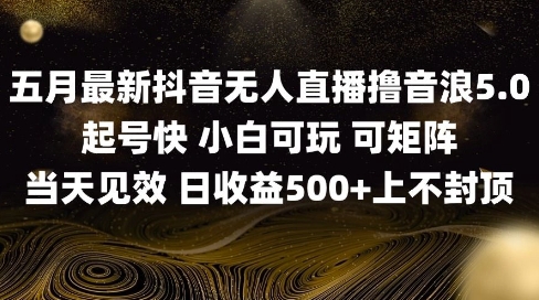 2025五月最新无人直播撸音浪单日产出5张+实操教程【揭秘】-猎人社区