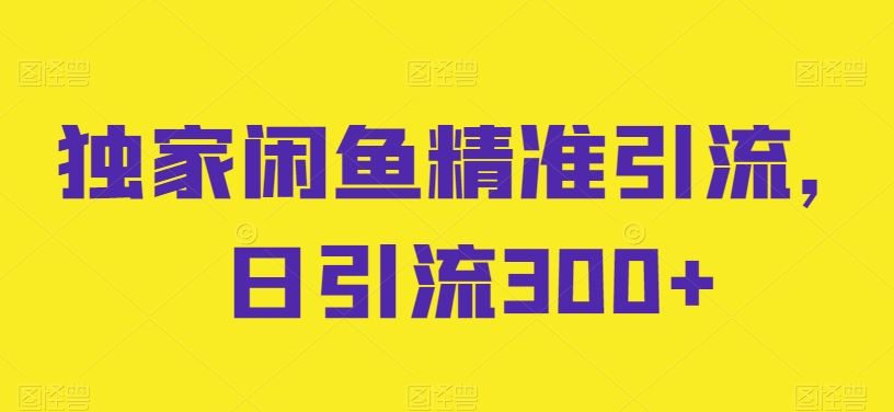 独家闲鱼精准引流，日引流300+【揭秘】 - 猎人社区-猎人社区
