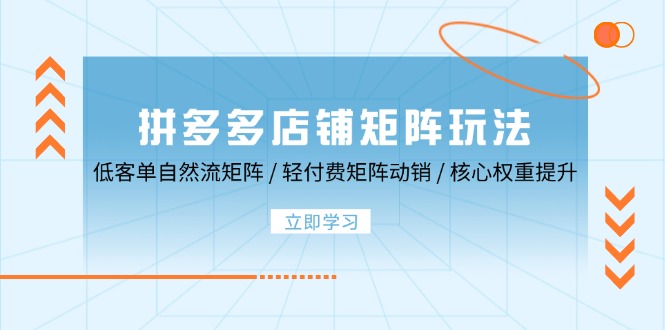 拼多多店铺矩阵玩法：低客单自然流矩阵 / 轻付费矩阵 动销 / 核心权重提升 - 猎人社区-猎人社区