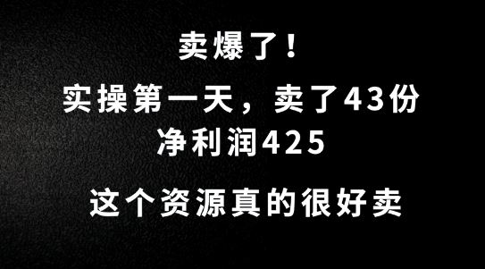 这个资源，需求很大，实操第一天卖了43份，净利润425【揭秘】 - 猎人社区-猎人社区