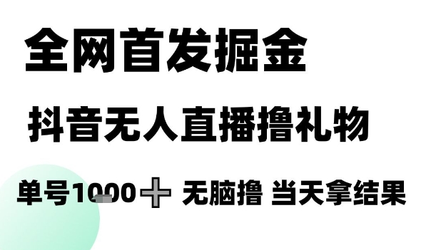 全网首发掘金抖音无人直播撸礼物，单号1k +无脑撸，当天拿结果【揭秘】-猎人社区