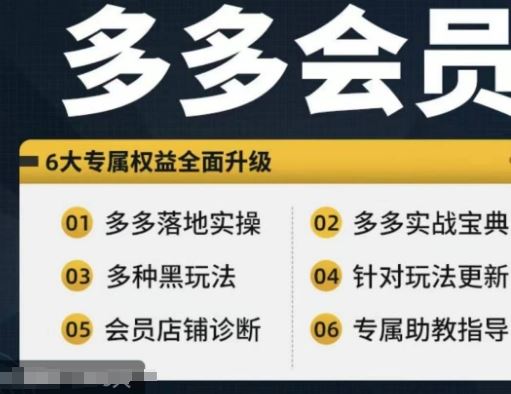 拼多多会员，拼多多实战宝典+实战落地实操，从新手到高阶内容全面覆盖 - 猎人社区-猎人社区