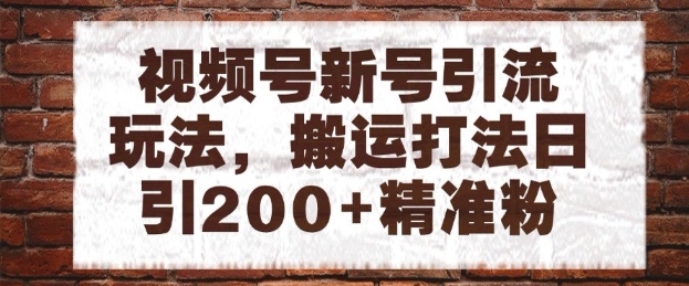视频号新号引流玩法，搬运打法日引200+精准粉，可矩阵放大【揭秘】 - 猎人社区-猎人社区