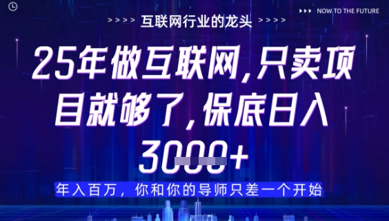 什么！25年你还在找项目做？风口早就变了，卖项目才是稳挣不赔【揭秘】 - 猎人社区-猎人社区
