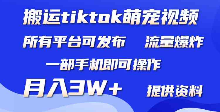 搬运Tiktok萌宠类视频，一部手机即可。所有短视频平台均可操作，月入3W+ - 猎人社区-猎人社区