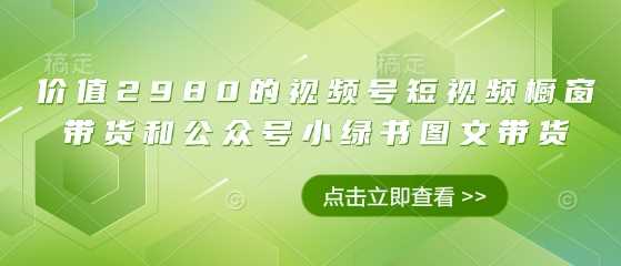价值2980的视频号短视频橱窗带货和公众号小绿书图文带货-猎人社区