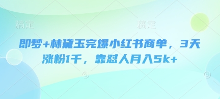 即梦+林黛玉完爆小红书商单，3天涨粉1千，靠怼人月入5k+ - 猎人社区-猎人社区