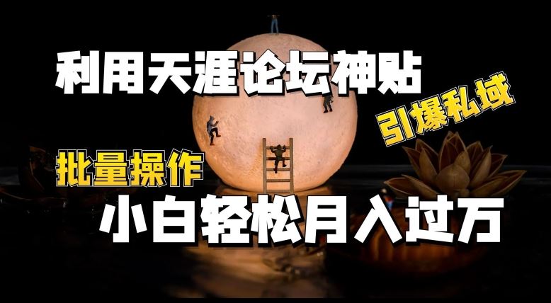 利用天涯论坛神贴，引爆私域，批量操作，小白轻松月入过w【揭秘】 - 猎人社区-猎人社区