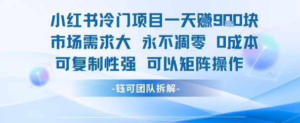小红书冷门项目一天收益9张，市场需求大，0成本，可复制性强可以矩阵操作 - 猎人社区-猎人社区