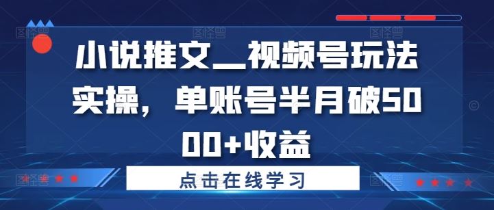 小说推文—视频号玩法实操，单账号半月破5000+收益-猎人社区