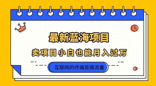 2025年最新蓝海项目，卖项目小白也能月入过万 - 猎人社区-猎人社区