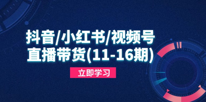 抖音小红书视频号直播带货，快速掌握平台规则，打造爆款内容