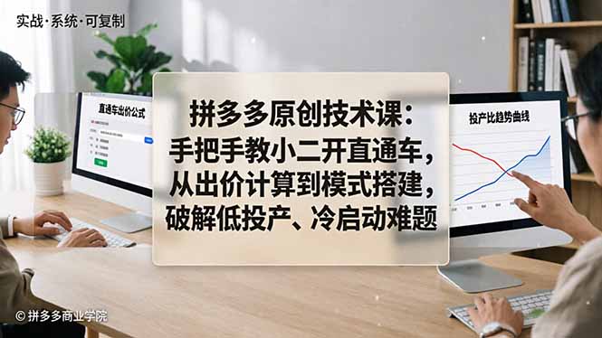 <span style='color:#bd7800'>拼多多原创技术课:手把手教小二开直通车,从出价计算到模式搭建,破解低投产、冷启动难题</span>