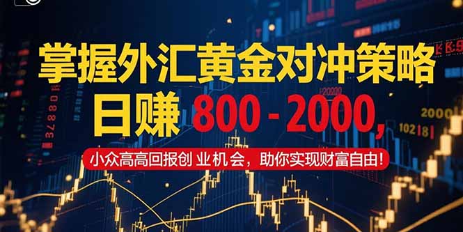 <span style='color:#a100e0'>掌握外汇黄金对冲策略，日赚 800 - 2000，小众高回报创业机会，助你实</span>