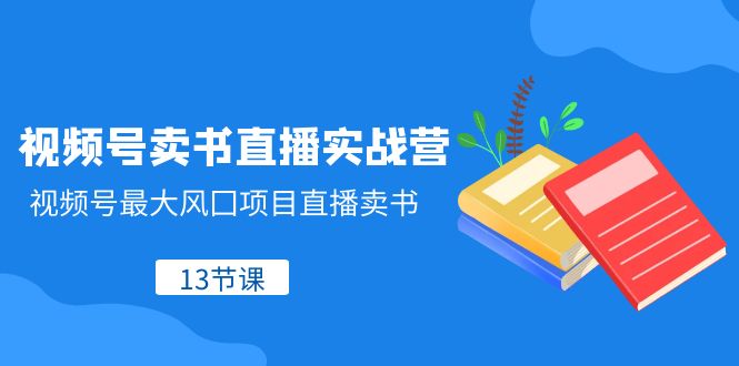 <span style='color:#078a00'>视频号-卖书直播实战营，视频号最大风囗项目直播卖书（13节课</span>
