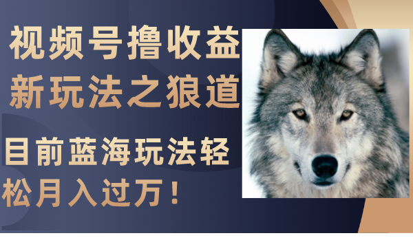 <span style='color:#ff0000'>视频号撸收益新玩法之狼道，目前蓝海玩法</span>