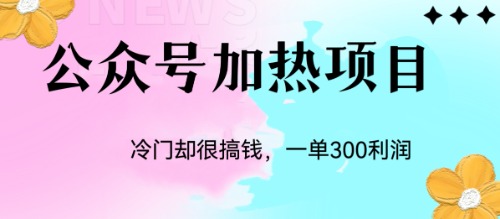 (6916期)冷门公众号加热项目,一单利润300+
