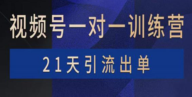 (3678期)视频号训练营:带货,涨粉,直播,游戏,四大变现新方向,21天引流出单