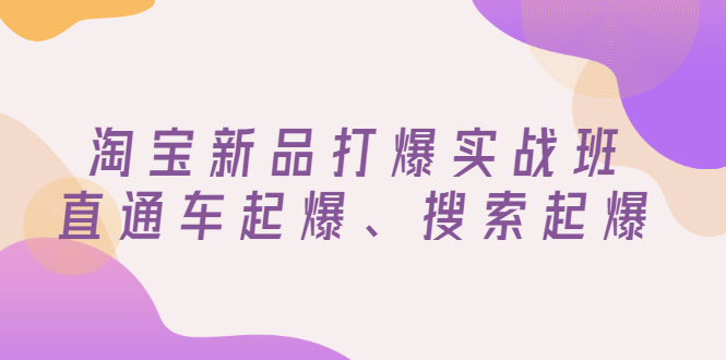 (2816期)淘宝新品打爆实战班,直通车起爆、搜索起爆(价值599元)