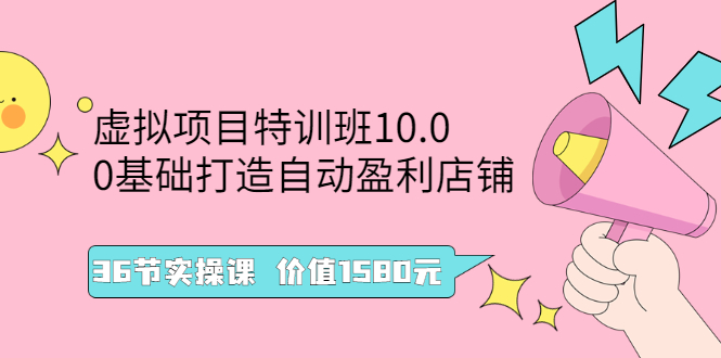 (2497期)虚拟项目特训班10.0,0基础打造自动盈利店铺 36节实操课