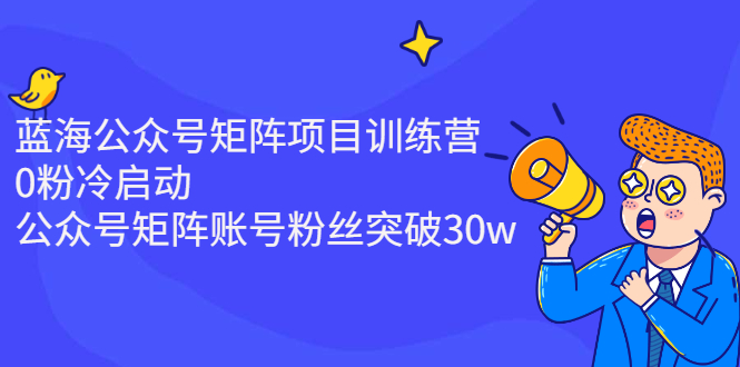 (2405期)蓝海公众号矩阵项目训练营,0粉冷启动,公众号矩阵账号粉丝突破30w
