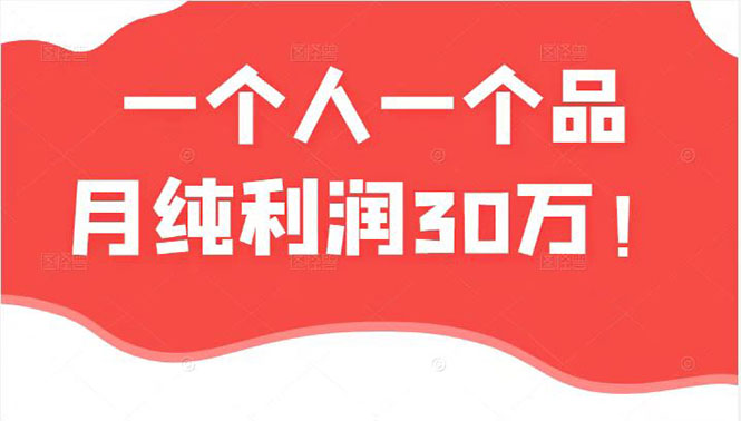 (2343期)某公众号付费文章:一个人一个品月纯利润30万的蓝海电商经典案例!