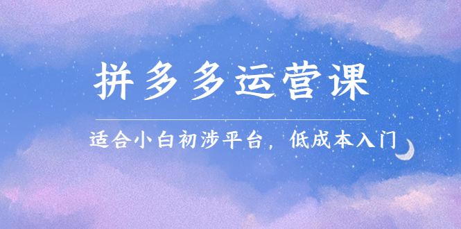 （2323期）拼多多运营课，适合小白初涉平台，低成本入门 创造销量和利润的方法