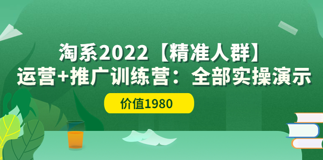 (3516期)淘系2022【精准人群】运营+推广训练营:全部实操演示