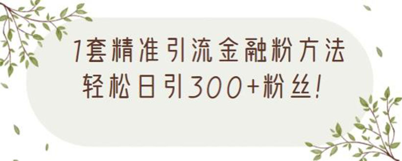 (2156期)1套精准引流金融粉方法,轻松日引300+粉丝【视频课程】