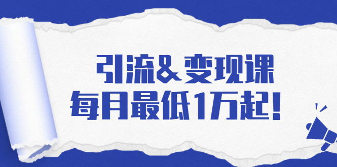 (1721期)引流&变现课:分享一整套流量方法以及各个渠道收入,每月最低1万起!
