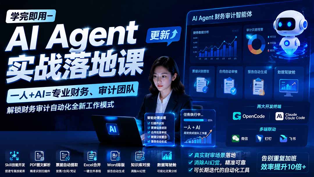 (19940期)学完即用—AI Agent实战落地课-更新:一人+AI=专业财务、审计团队,解锁财务审计自动化全新工作模式